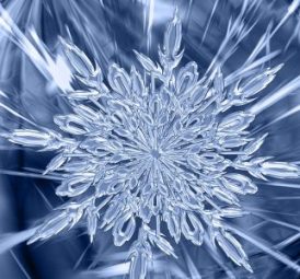 cropped-ice-crystal-2871068_12802.jpg